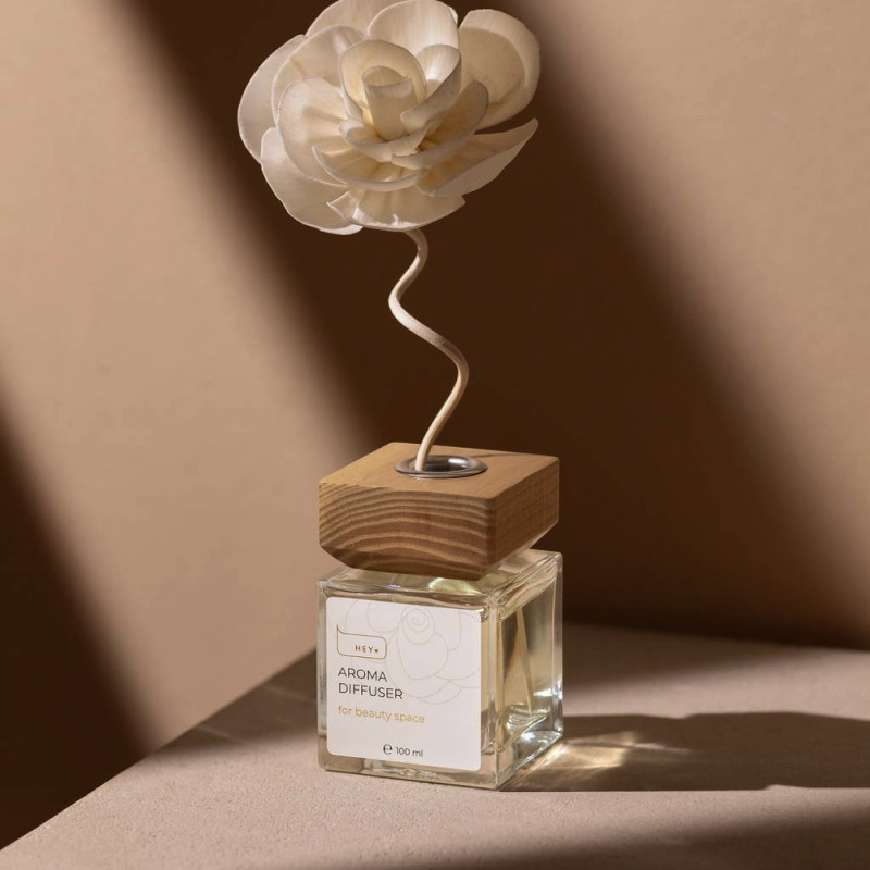 HEYLOVE Аромадиффузор Silver , 100 ml