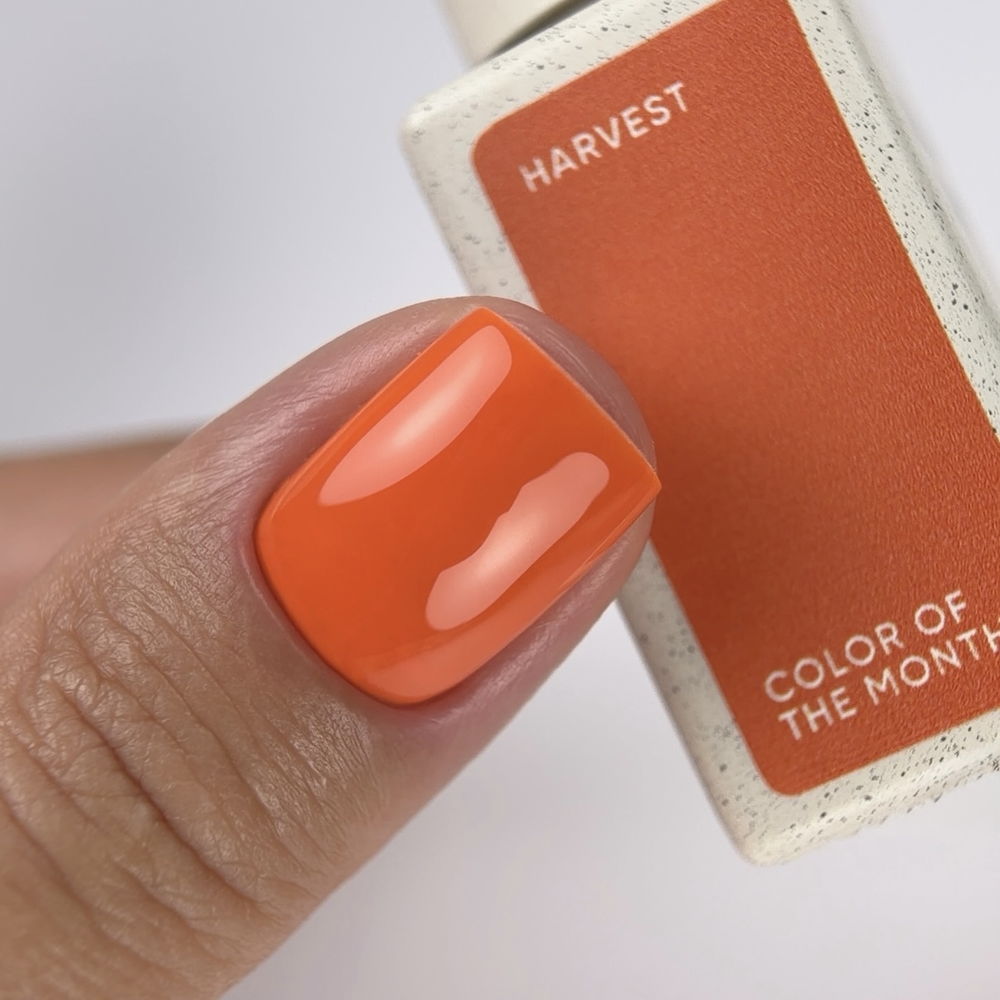 NAILSOFTHEDAY Color of the month September 2026 Harvest, 10 ml